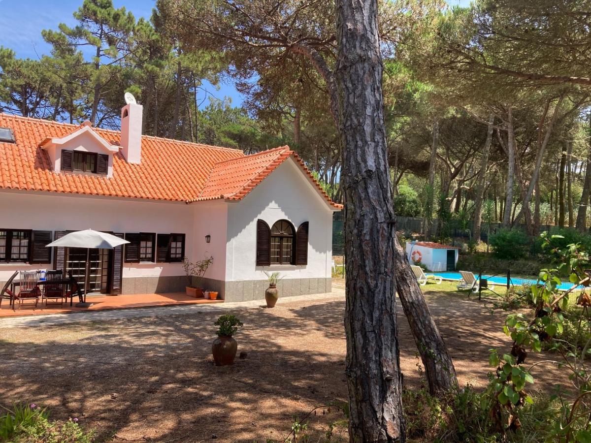 Moradia no Pinhal com Piscina - Espaço e Privacidade para as suas Férias! Sintra Exterior foto