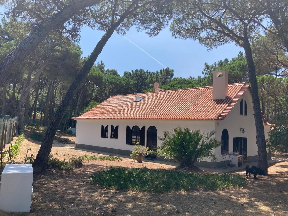 Moradia no Pinhal com Piscina - Espaço e Privacidade para as suas Férias! Sintra Exterior foto